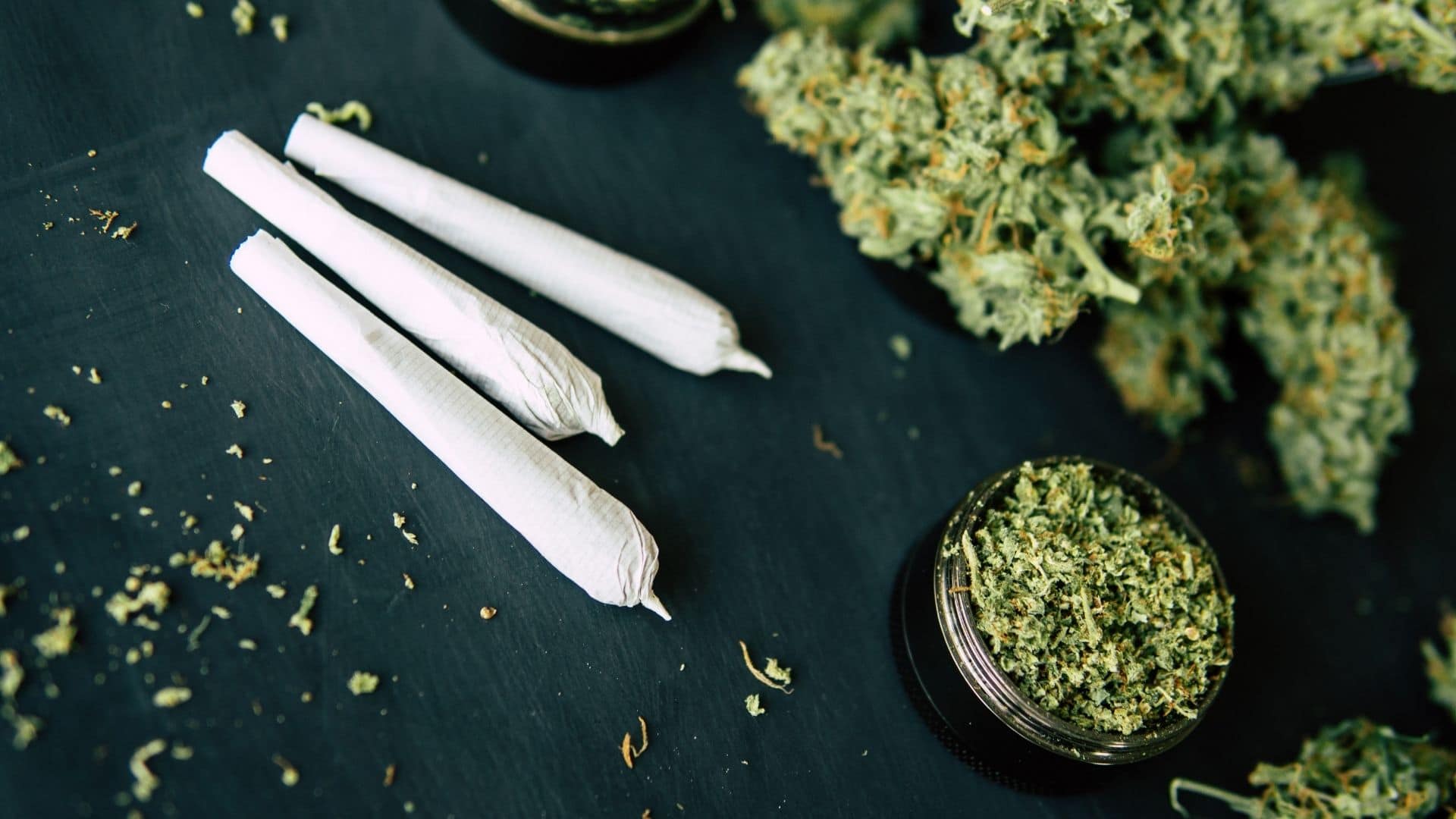 Le tuto pour rouler un joint de CBD Made In Chanvre