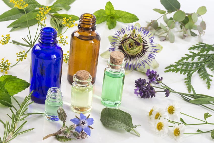 medicinal plant and flower selection , peppermint, passiflora,, sage, thyme, lavender lemon balm with an aromatherapy essential oil glass bottle .