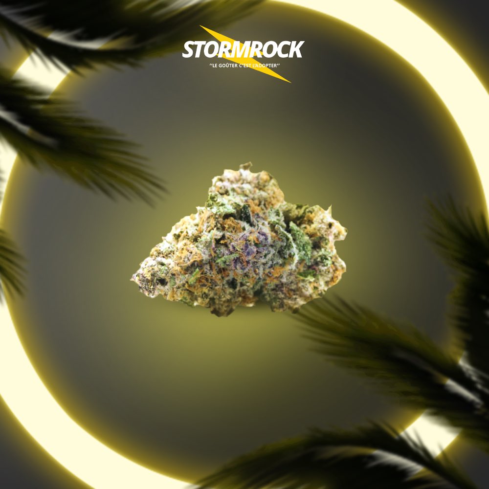 sour diesel stormrock